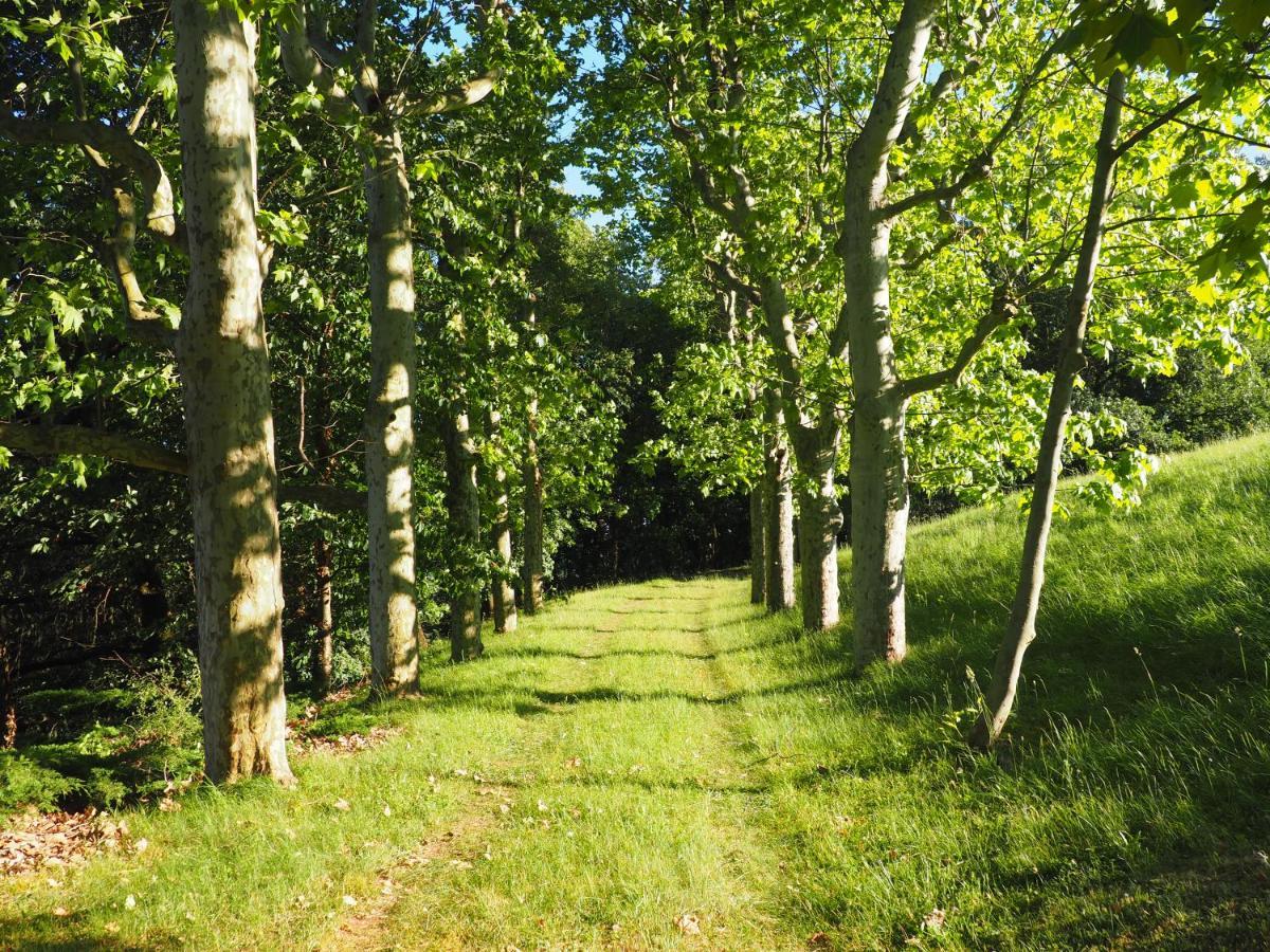 La Souveraine Saint-Genis-Laval Kültér fotó